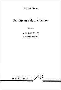 livre derrière un rideau d'ombres