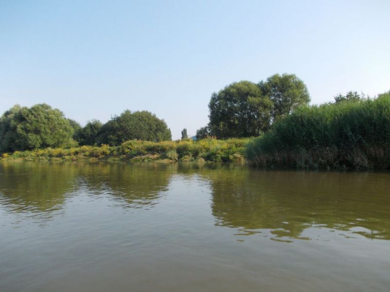 L'île de la Motte Indre Site officiel de la commune