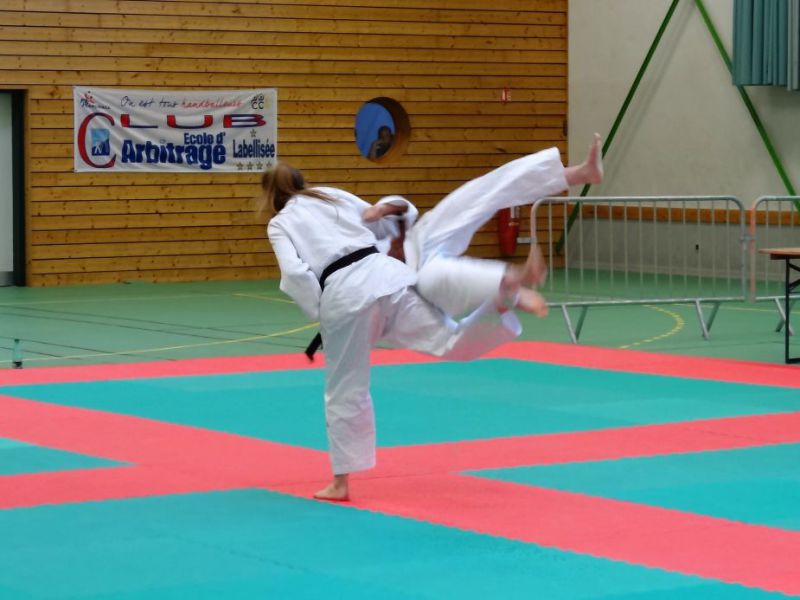 tournoi judo 2017