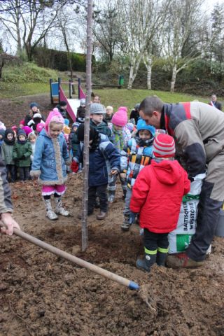 les enfants de maternelle plantant un arbre pour le climat