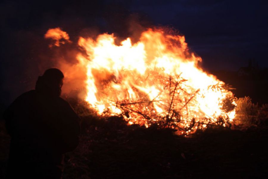 Flambée des sapins de Noël