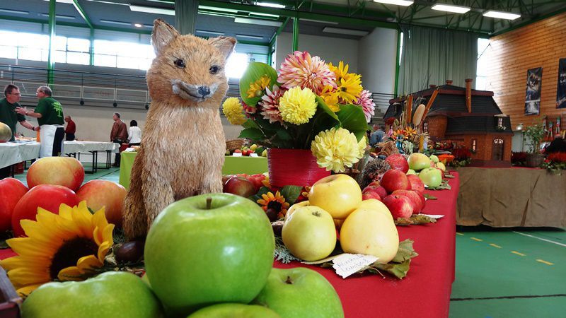 renard entre les fruits de l'exposition