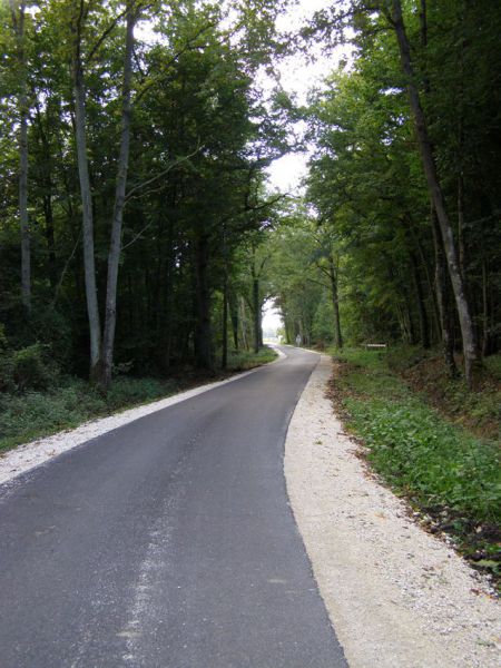 Route des gérans (bois)